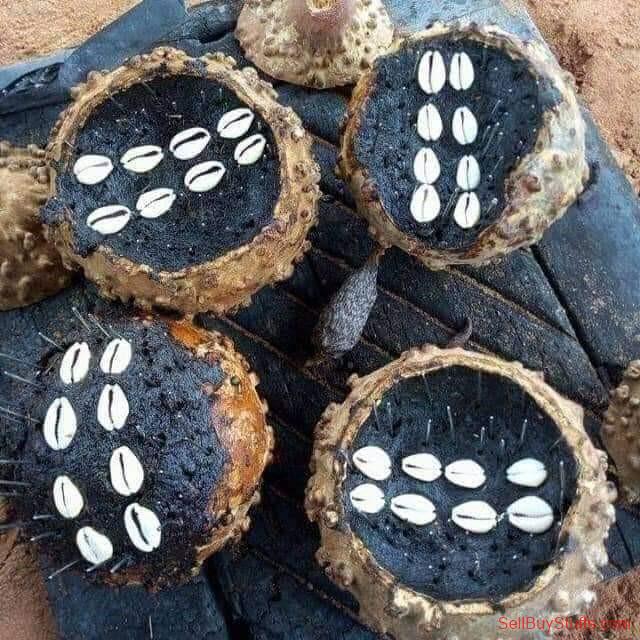 Along THE BEST POWERFUL SPIRITUAL HERBALIST AND NATIVE DOCTOR IN NIGERIA +2348156950703