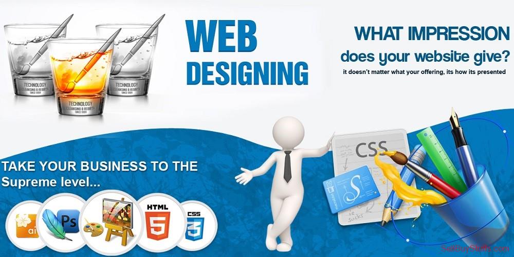 Delhi Web Design Company in Delhi