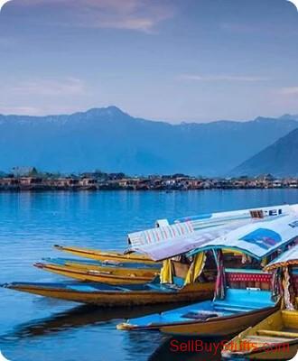 Srinagar kashmir family tour packages